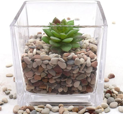 Rocks for Plants. Earth Color Decorative Pebbles. 1/5 Inch – 10 lbs for Garden, Vase fillers, Crafting, Succulents, pots, Plants (Mini (0.2 Inch), Mixed Color - Earth Tones, 10)