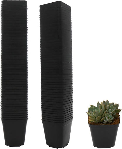 Pastic Nursery Pots Square Plant Pot 100 Pcs Durable Balck Starter Container for Starting Seedlings or Succulents (2.2 Inch)