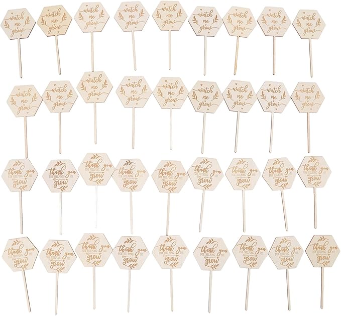 Watch Me Grow Succulent Tags, Wooden Plants Labels Thank You for Helping Me Grow Garden Marker Hexagon Planter Sign Decorations Gift for Greenhouse Potted Vegetable Seedling Baby Shower 36Pcs