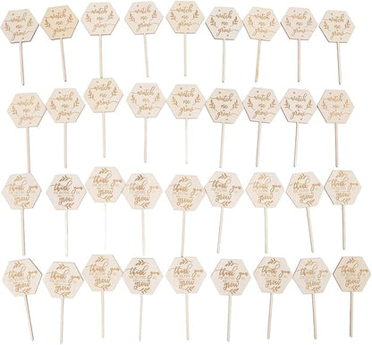 Watch Me Grow Succulent Tags, Wooden Plants Labels Thank You for Helping Me Grow Garden Marker Hexagon Planter Sign Decorations Gift for Greenhouse Potted Vegetable Seedling Baby Shower 36Pcs