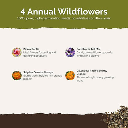 Eden Brothers Jellybean Flower Mixed Seeds for Planting, 1/4 lb, 120,000+ Seeds with Zinnia, Cornflower, Cosmos, Calendula, Attracts Pollinators, Plant in Spring or Fall, Zones 3, 4, 5, 6, 7, 8, 9, 10