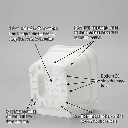 6 Pack 6/8/10 Inch Square Plant Pots with Saucers - 24-Strip Airflow Drainage for Root Health - Heavy Duty 5mm Thick White Plastic Orchid Planters for Indoor Outdoor Flowers, Herbs & Succulents