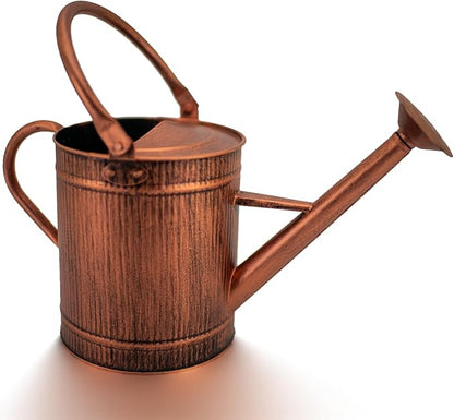 1 Gallon Watering Can, Copper Watering Can, Metal Water Can with Removable Spout, Perfect Plant Water Can for Indoor and Outdoor