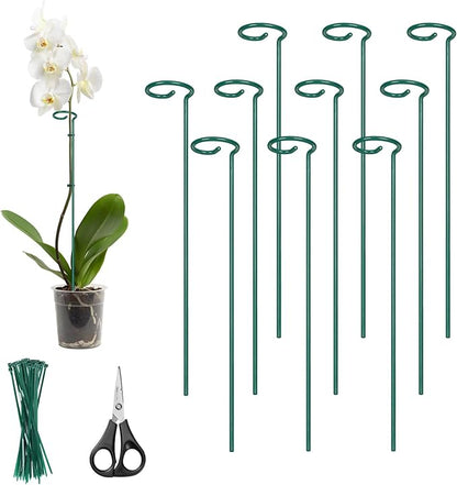 Kingsyard 16 Inch Plant Support Stakes - 10 Pack, 4.5mm Thick All Metal Garden Plant Stakes for Outdoor Plants Single Stem Flowers Dahlia Lily Rose Peony Hydrangea Tomatoes Sunflower Gladiolus