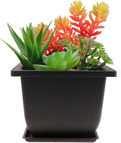 MUZHI 6PCS/Pack Retro Style Deep Square Small Bonsai Training Pots with Tray, Mini Plastic Mocha Garden Flower Pot 5"