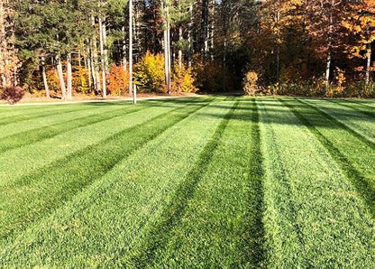 Envy Turf Type Tall Fescue Grass Seed (25 lbs.) - 100% Weed Free - Drought Tolerant - Disease Resistant - Dark Green Color Non-Returnable