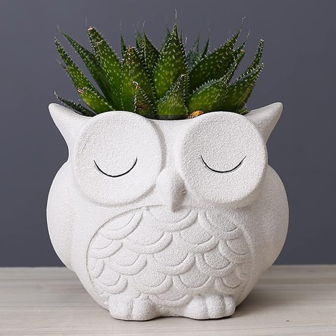 Cute Owl Succulent Planter Pot with Drainage Tray, Large White Ceramic Flower Cactus Container, Animal Shaped Indoor Air Plants Holder