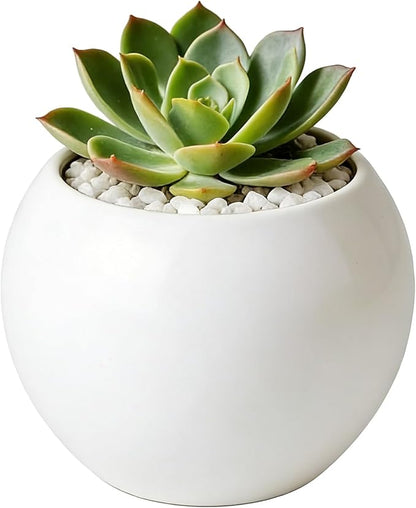 White Spherical Ceramic Planter Succulent Small Plant Pots Indoor Modern Round Decorative Indoor-Outdoor Garden Plant Pots with Drainage Holes - Plants Not Included 3.94 x 3.94 x 3.15 Inch