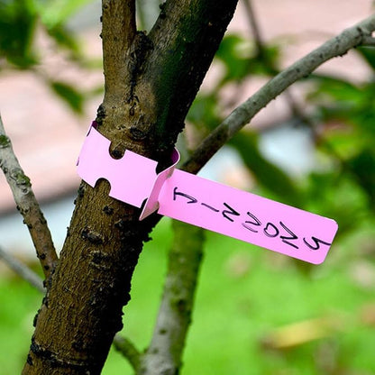 500 Pieces Plant Labels Plant Tree Tags Outdoor Waterproof Plastic Wrap Around Hanging Nursery Garden Gardening Labels Stakes Markers Reusable