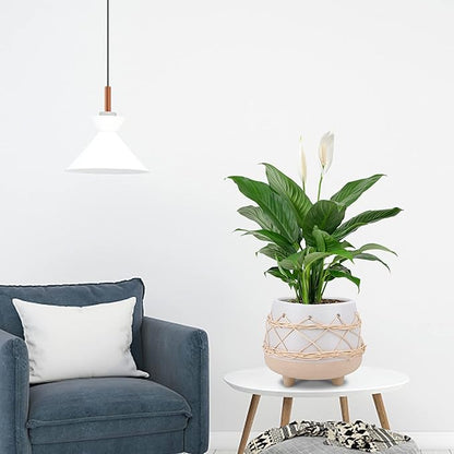Ceramic Planter 8 Inch Plant Pots Indoor Outdoor Planter with Drainage Hole Flower Pots Plant Pot Ceramic Mid-Century
