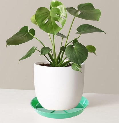 Plant Saucer Pot Tray 12 inch, 2 Packs Flower Planter Saucers and Drip Trays for Pots Planter, Heavy Duty Plant Dish Pant Plate to Catch Water for Indoor & Outdoor, Green