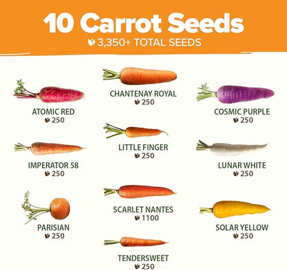 HOME GROWN Rainbow Carrot Seeds 3,350+ Heirloom Seeds (10 Varieties) – High Germination, Vegetable Seeds for Planting Indoors or Outdoor Home Garden