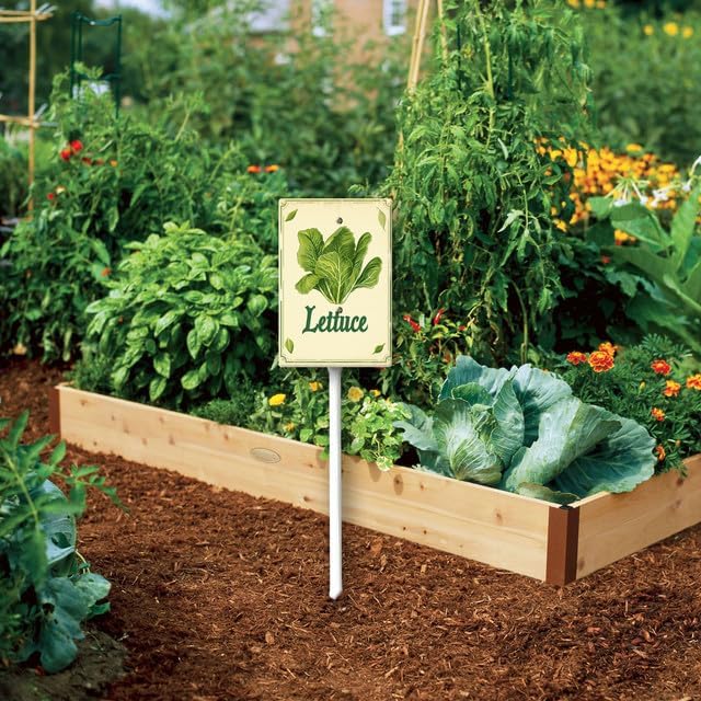 Uptell Vintage Vegetable Signs for Garden with Stake Lettuce Yard Sign Vegetable Garden Label Stakes Plant Markers for Outdoor Plants Waterproof 8x12inch