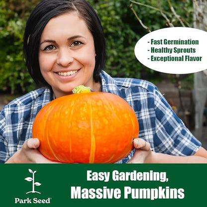 Park Seed Howden Pumpkin Seeds – Non-GMO, Classic Deep Orange Pumpkins for Carving & Display, High-Yielding Plants, 20–30 lb Fruits, Ribbed Halloween Favorite, Pack of 25