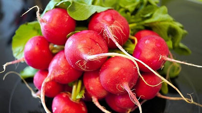 Park Seed Radish Vegatable Plant Seeds, Easy to Grow, Variety of Colors, Spring Garden, Rudolf Organic, Pack of 200