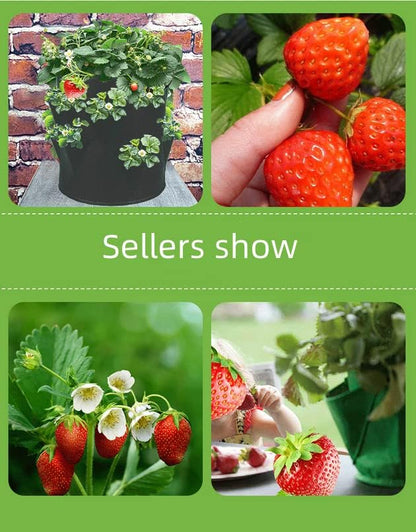 6 Pack 10 Gallon Strawberry Grow Bags Strawberry Planter with 8 Side Grow Pockets Re-usable Vertical Strawberry Grow Bag with Handle for Vertical Gardening