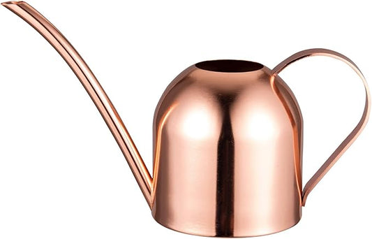 IMEEA Small Watering Can for Indoor Plants Stainless Steel Indoor Watering Can with Long Spout, 15oz/450ml