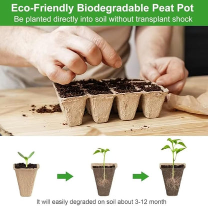 240 Cells Seed Thickened 12-Cell Peat Pots Seed Starter Kit - 20 Trays + Transplanting Tools & Plant Labels, Biodegradable Root-Friendly Seedling Cups for Vegetables Flowers Herbs Seed Starting