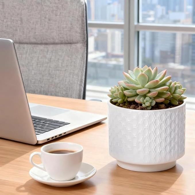 6 Inch Ceramic Pots for Indoor Plants with Drainage Hole & Floral Design, Planter for Home Decor on Windowsill, Tabletop, Office (White)