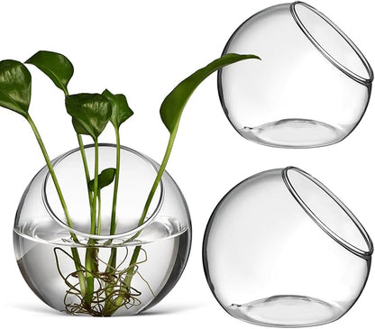 balacoo 3 Pcs Glass Terrariums Bowl for Plants, Terrarium Jar for Air Plant Clear Globe Vase Glass Bowl for Home Desktop Decor