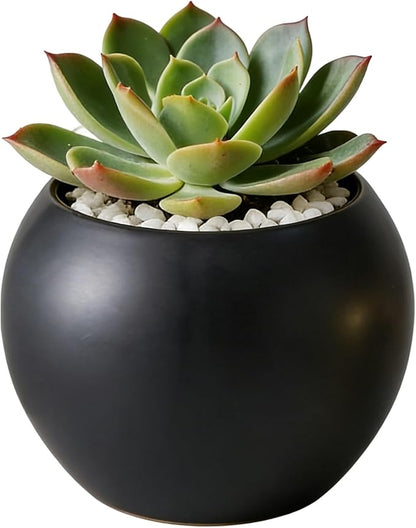 Black Spherical Ceramic Plant Pots Succulent Small Planter Indoor Modern Round Decorative Indoor-Outdoor Garden Plant Pots with Drainage Holes - Plants Not Included 3.94 x 3.94 x 3.15 Inch