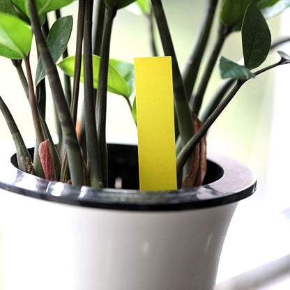 KINGLAKE 100PCS 1"x6" Yellow Plastic Plant Garden Labels Large Nursery Garden Tags