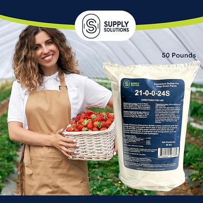Supply Solutions 21-0-0-24S Ammonium Sulfate for Deep Green Plants - Soil Acidifier for Blueberry Blooms, Azalea and Magnolia Tree Fertilizer - Sulfur for Plants Nitrogen Fertilizer (50 Pounds)