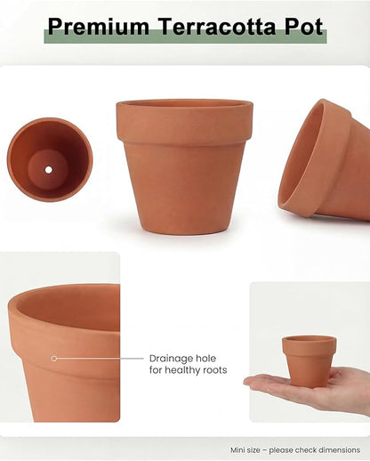 Riseuvo 32pcs 2" Small Mini Terracotta & Clay Pot Planter - Cactus Flower Nursery Terra Cotta Pots with Drainage, Perfect for Indoor/Outdoor Plants, Crafts