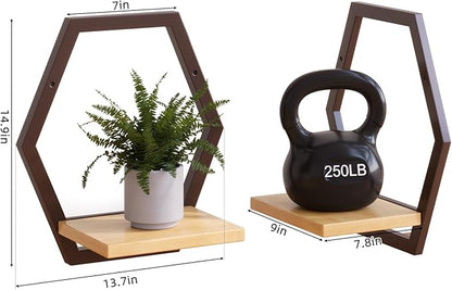 3 Pack Solid Wood & Heavy Duty Metal Wall Plant Stands,9 inch Natural Wood Shelf, Boho Arch Hanging Planter for Indoor 25 LB Load for Plants, Flowers, Herbs Coffee
