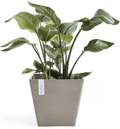 Ecopots Rotterdam Durable Modern Square Indoor/Outdoor Recycled-Based Composite Flower Planter, Taupe, 12"