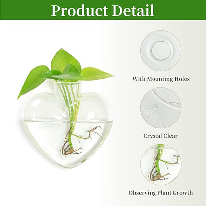 XXXFLOWER Wall Hanging Glass Terrariums，Clear Planters Propagation Station Glass Flower Vase,Air Plant Terrariums for Hydroponic Plants,Home Office Decor,Gifts,Heart-Shaped Set of 2