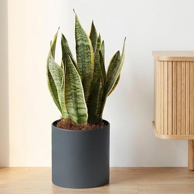 Metal Plant Pot with Drainage Hole,Mid Century Modern 7 inch Round Pot Indoor Outdoor Planters for Decorative Pots of Tabletop Living Room Bedroom Grey
