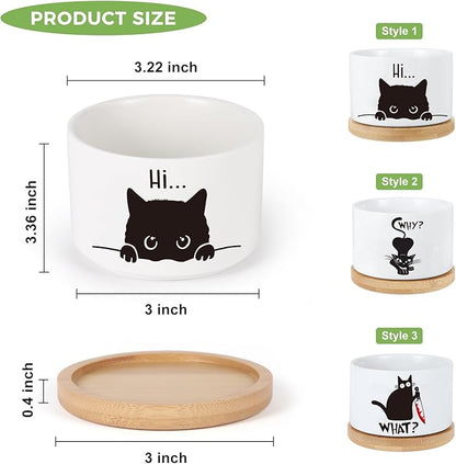 3 Pcs Cat Ceramic Plant Pots,Funny Cat Planter Gifts for Women,for Indoor Plants Garden Planters Succulent Pots, with Drainage Holes and Saucer(No Plants)