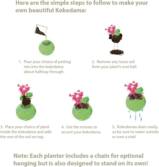 SuperMoss (29348) Kokedama Planter, 6", Fresh Green