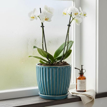 6-Inch Ceramic Plant Pots with Drainage Hole, Flower Pots Planters Pots for Indoor Plants, Flower Pots for Indoor/Outdoor Plants - Succulent, Snake Plant, Money Tree, Basil Planter, Glaze Blue