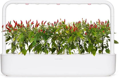 Click and Grow Smart Garden Piri Piri Chili Plant Pods, 3-Pack