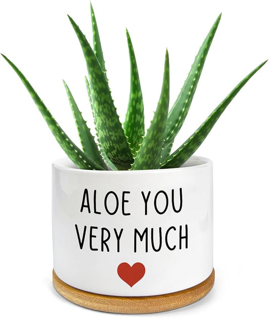 You Very Much- White Ceramic Engraved Mini Succulent Aloe Cactus Planter Pot, Funny Plant Pots Indoor Flower Plant Pots for Home Office Windowsill Levitating Plant Pot Gifts, 3.8 inch
