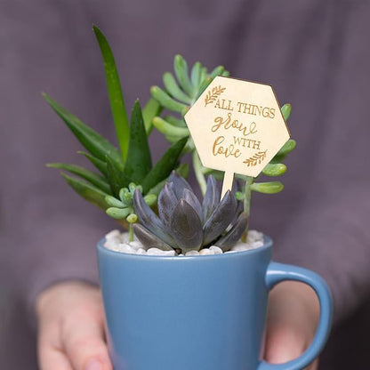 AnyDesign 30Pcs All Things Grow with Love Labels Succulent Tags Hexagon Wooden Plant Stakes Labels Garden Marker Plant Sign for Seed Potted Teacher Appreciation Gift Thanksgiving Baby Shower