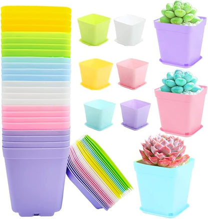 24Pack 3 Inch Plastic Plant Pots,Square Seedling Nursery Pots Succulent Flower Planter Container with Saucers for Garden,Room,Office,Balcony Decor,Multicolor