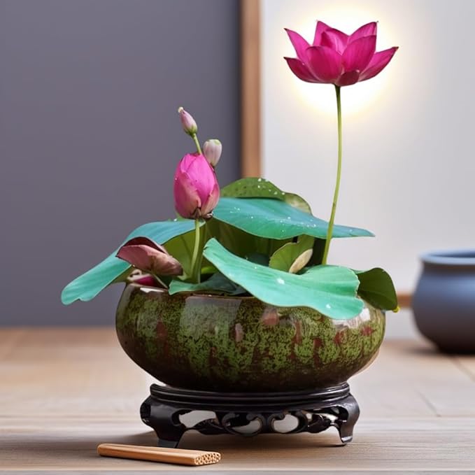 Lotus Bowl Planter, Lotus Bowls for Planting in Water Indoors, Bonsai Bowl Lotus Flower Seeds, Ceramic Planters for Indoor Plants (Green)