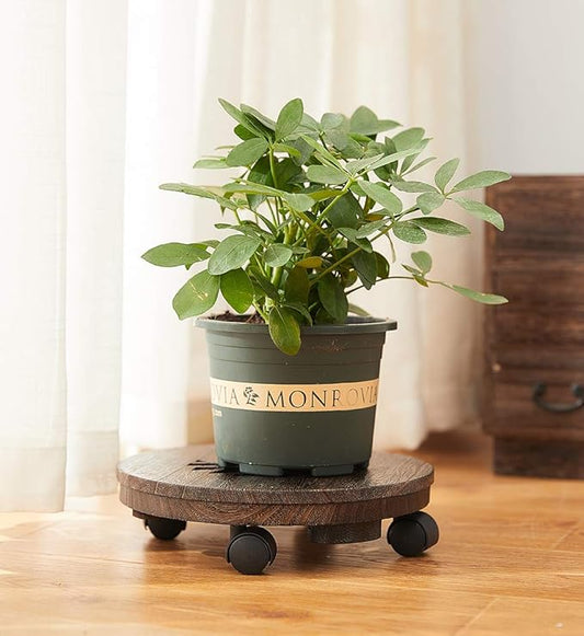Wood Plant Caddy, Heavy Duty Rolling Planter Dolly With Rotating Casters, Movable Flower Pot Stand, Round Plant Rack With Lockable Wheels,Heavy Objects Hauling (13 Inch)