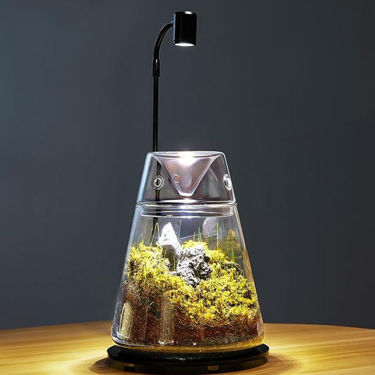 Glass Plant Terrarium with Lid 6.3"X7.9" Inches Succulent Air Planter Fern Moss Micro-Landscape Vase for Home Office Tabletop Decoration Container Indoor Wardian Copyright Patent（with Light）