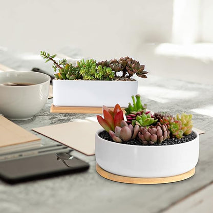 White Ceramic Succulent Plant Pots, 1 Rectangular Flower Pot + 1 Round Planter, Set of 2 Small Cactus Container, Bonsai Pots, Succulent Pots with Drainage Hole& Bamboo Tray (No Plant)