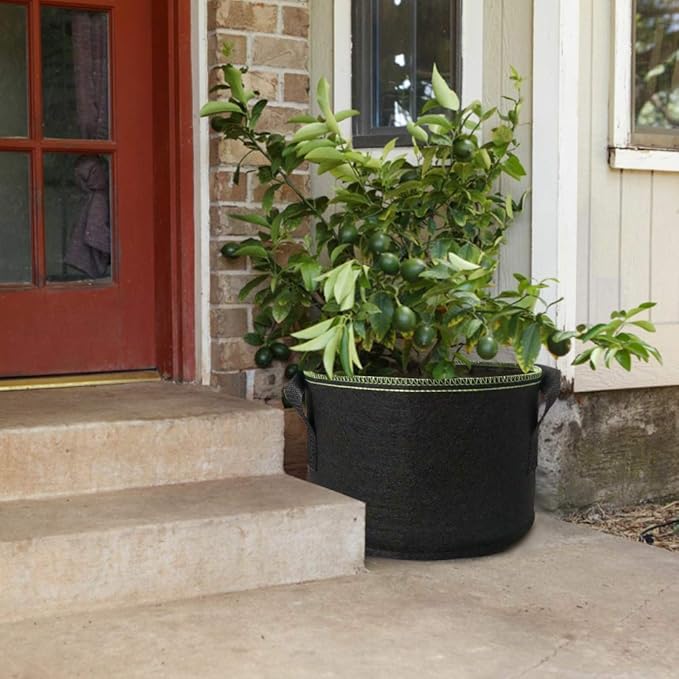 jecengs 6-Pack 5 Gallon Non-Woven Thickened Plant Grow Bag, High-Intensity Transplanting Seedling Pot with Handle Black
