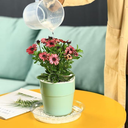 70 Packs 8" Clear Plant Saucers for Indoor Outdoor Use Heavy Duty Plastic Plant Trays for Planter Flower Pot Drip Trays to Catch Water, 4 to 20 Inch, Round Transparent