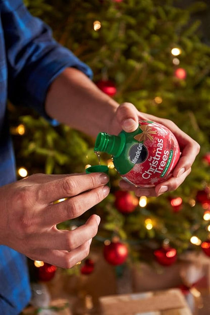 Miracle-Gro for Christmas Tree Plant Food, Hydrates Trees and Keeps Christmas Trees Green All Holiday Season, 12 Pack