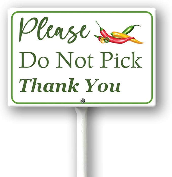 Boylee (8X12) IN Please Do Not Pick Hot Chili Peppe Thank You Yard Sign With Stake Rustproof Aluminum Fruit Vegetable Signs Stand for Home Orchard Garden Outdoor Decoration