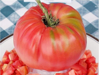 Mortgage Lifter Tomato Seeds - Large Tomato - One of The Most Delicious Tomatoes for Home Growing.
