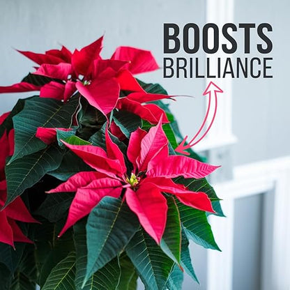 Gardenera Poinsettia Plant 3-1-2 Fertilizer Spray - Organic Liquid Plant Food Mist for Christmas Flowers and Trees - 8oz
