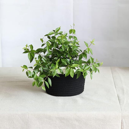 Indoor Hanging Flower Pot Basket,Party Wedding Home Garden Hanging Planter, Waterproof Lining Hydroponic Plant Pot-Black